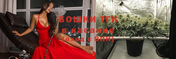 тгк Волосово